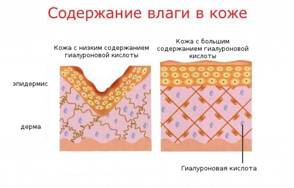 19_28_11vlaga_v_koje.jpg